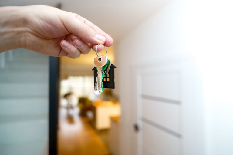 How Real Estate Virtual Assistants Collect Property Data from Websites